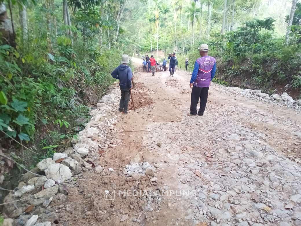 Warga Campang Lapan Gotong Royong Timbun Jalan Penghubung yang Berlubang