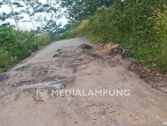 Warga Kampung Umpu Bhakti Harapkan Pemkab Waykanan Perbaiki Jalan Alternatif