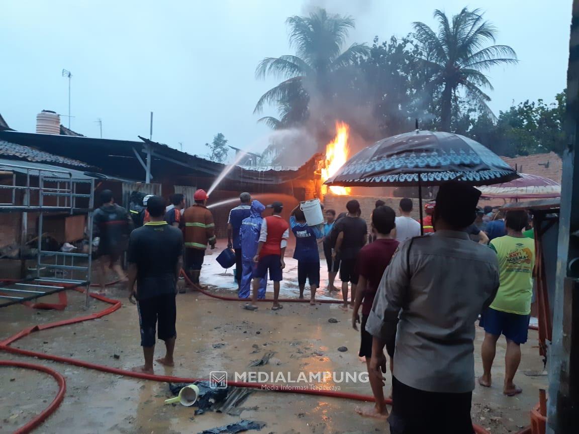 Bangunan Penangkaran Burung Murai Hangus Dilalap Sijago Merah