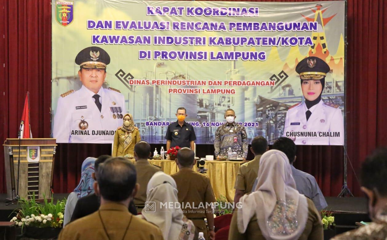Gubernur Dorong Pembangunan Kawasan lndustri di 4 Kabupaten di Lampung