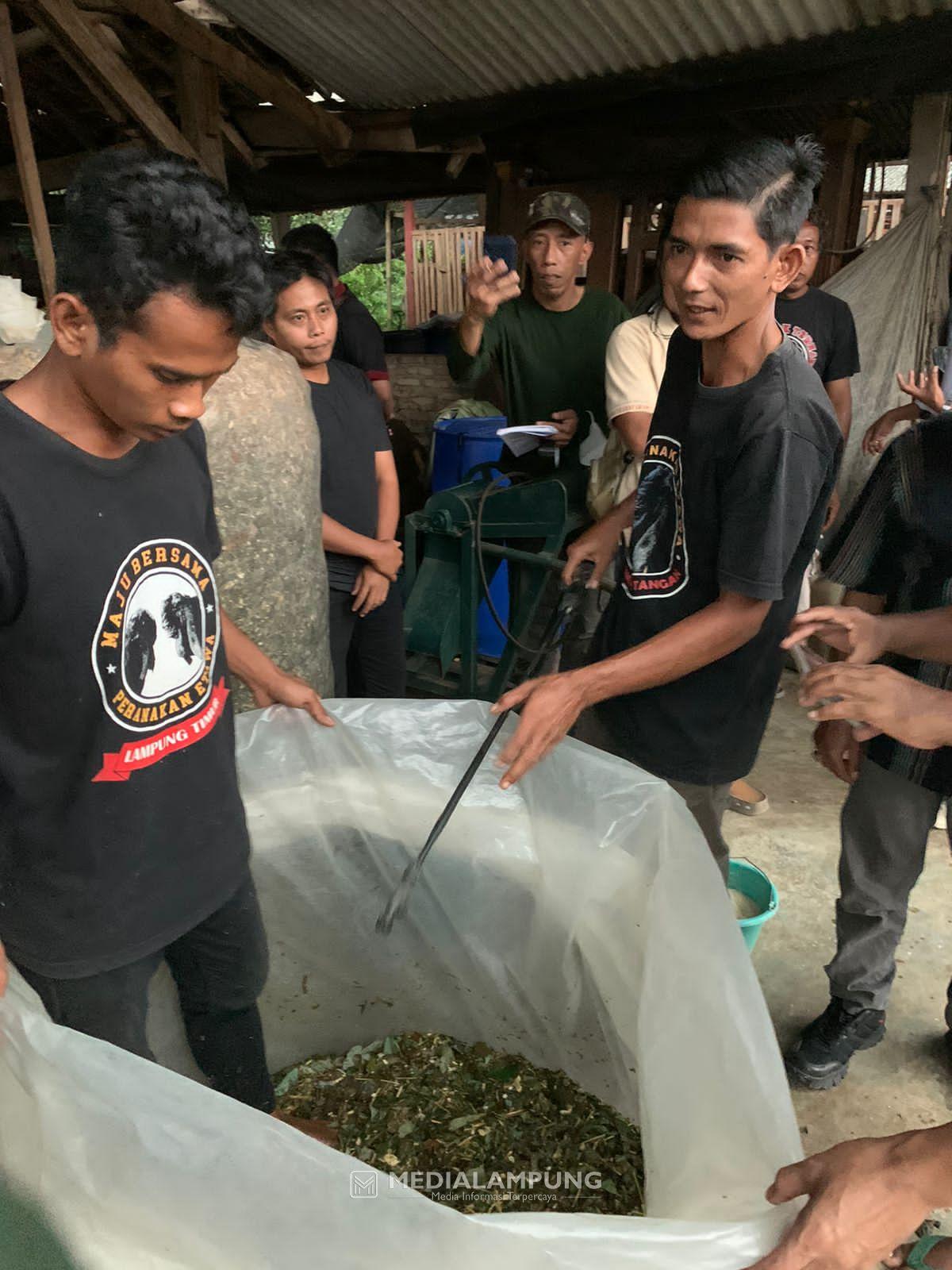 Disbunnak Lambar Belajar Pembuatan Fermentasi Pakan Ternak Kambing ke Kabupaten Lamtim