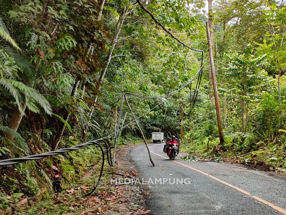 Kabel Utama Jaringan Listrik Menuju Pesbar Putus