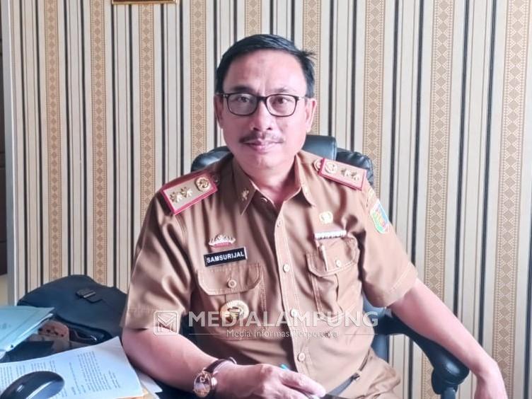 Dinas Koperasi dan UMKM Bersama Dekranasda akan Gelar Festival Kemilau Tapis Lampung 