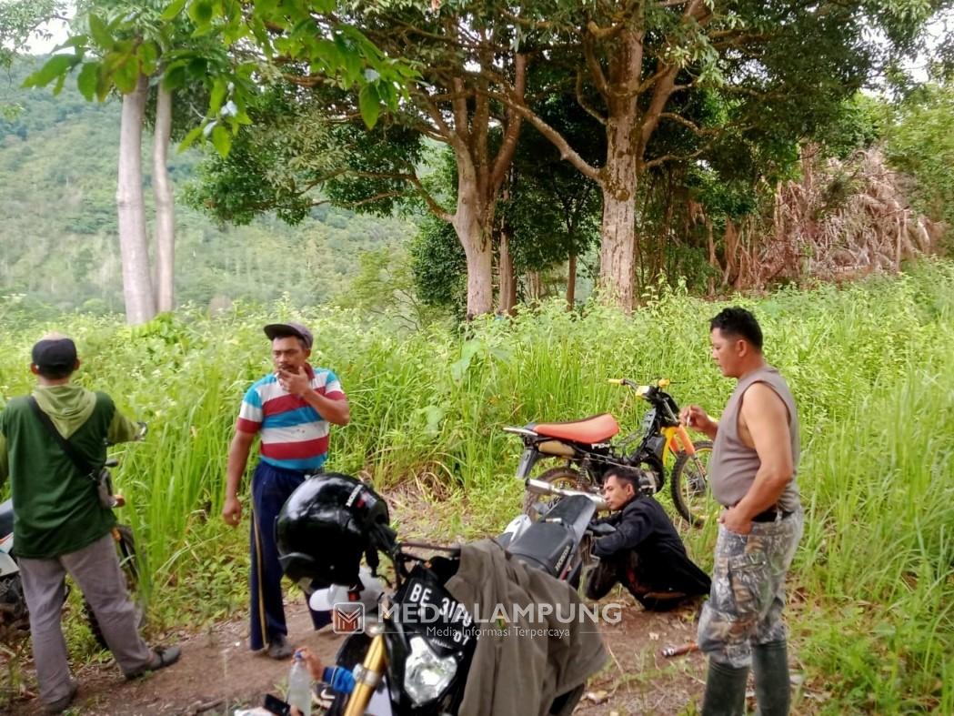 Kembali Dekati Pemukiman, Petugas Gabungan Lakukan Penggiringan Gajah Jambul