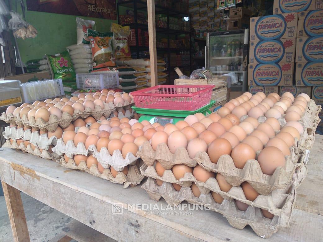 Pedagang Telur Ayam Mengharapkan Harga Kembali Stabil