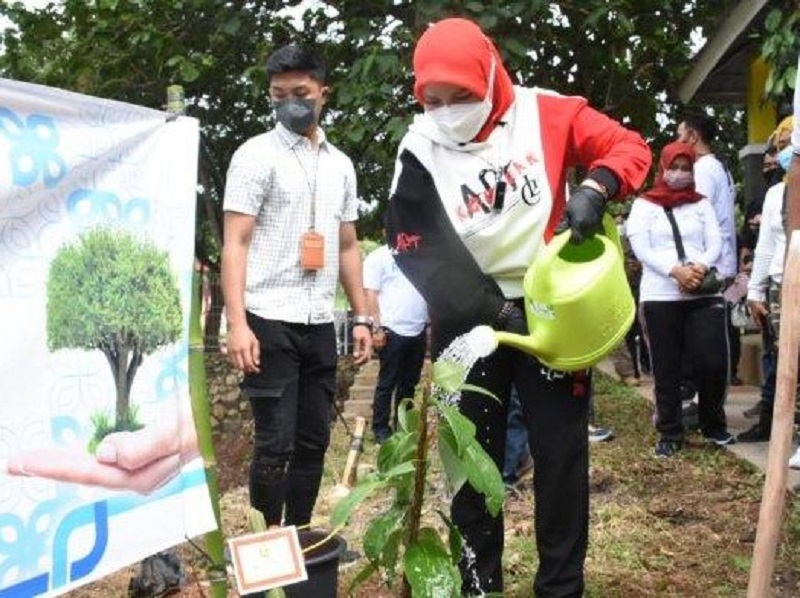 Bunda Eva Terima 2000 Bibit Alpukat dari PT Pelindo