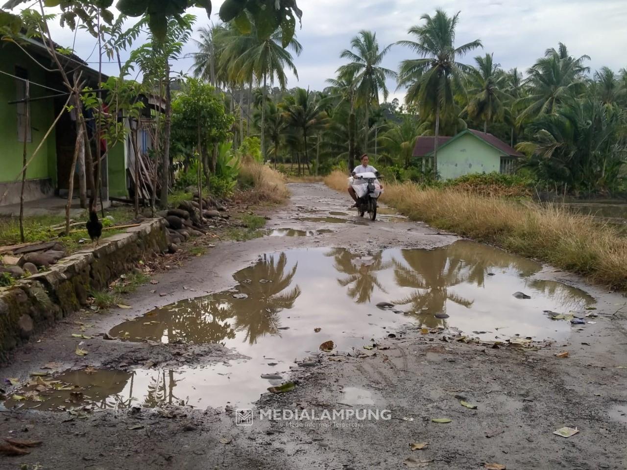 Warga Pekon Balam Harapkan Perbaikan Jalan
