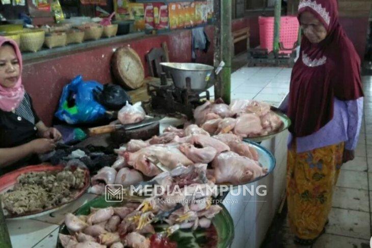 Jelang Nataru, Harga Ayam di Pasaran Beranjak Naik