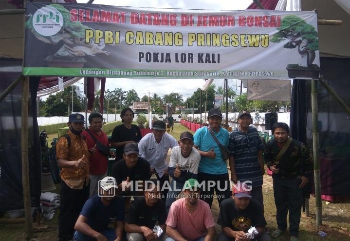 Bonsai Lohansung Seharga Rp50 Juta Ramaikan Pameran Lor Kali