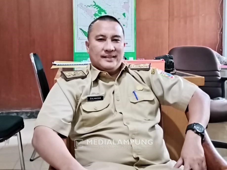 Akhirnya, Dishut dan BKSDA Turunkan Petugas Tangani Konflik Gajah di Lambar