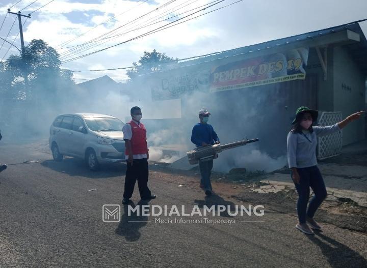 Upaya Antisipasi DBD, Kelurahan Enggal Lakukan Fogging