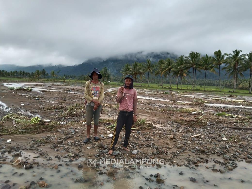 Sepekan Berlalu, Banjir Way Batang Ireng Sisakan Kerusakan Hingga Padi Gagal Panen