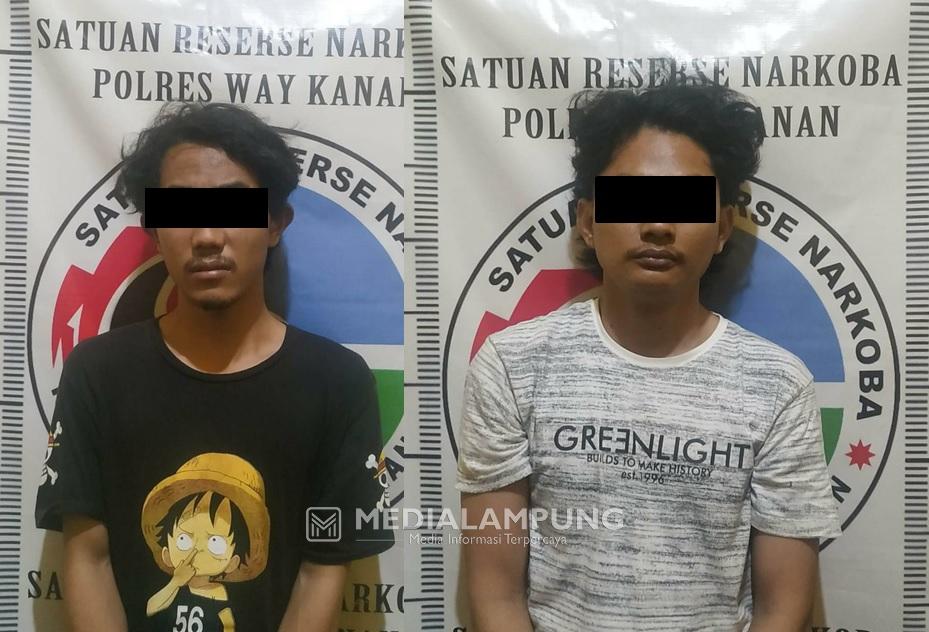 Polres Waykanan Bekuk Dua Tersangka Penyalahgunaan Narkoba Jenis Ganja