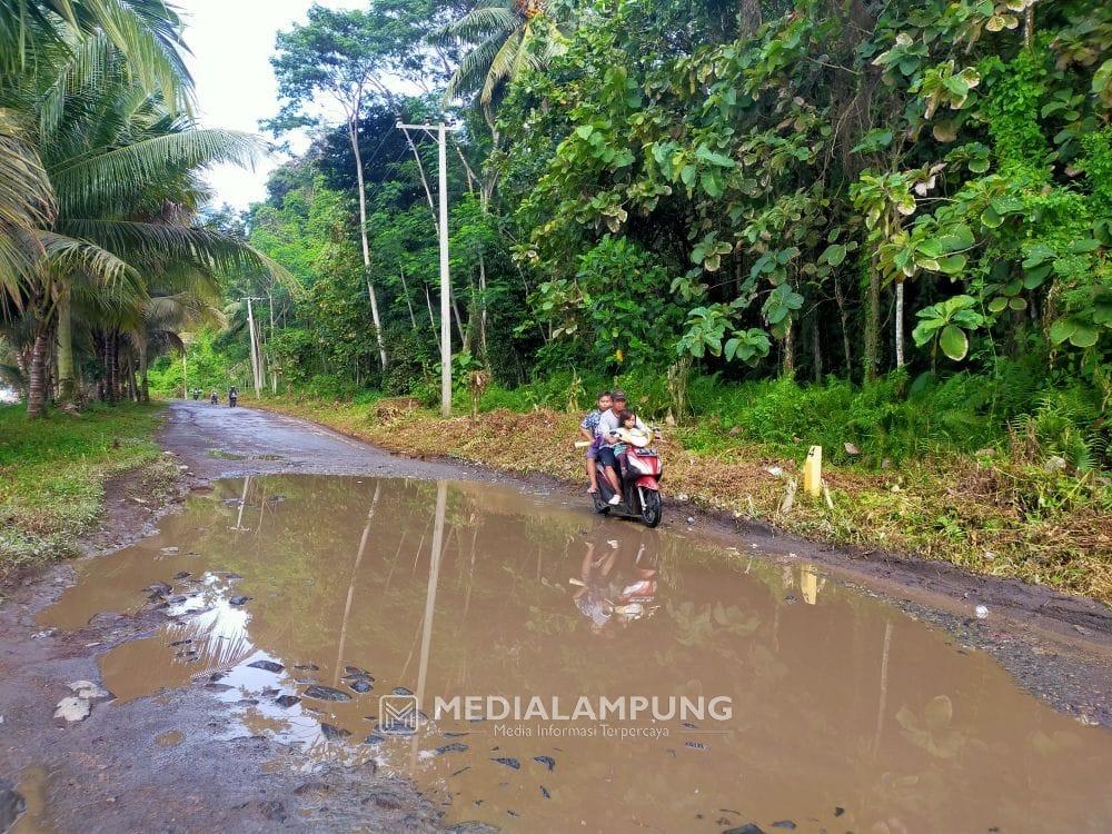Jalan Sukabanjar-Ketapang Rusak Parah, Harapkan Perbaikan dari Pemprov