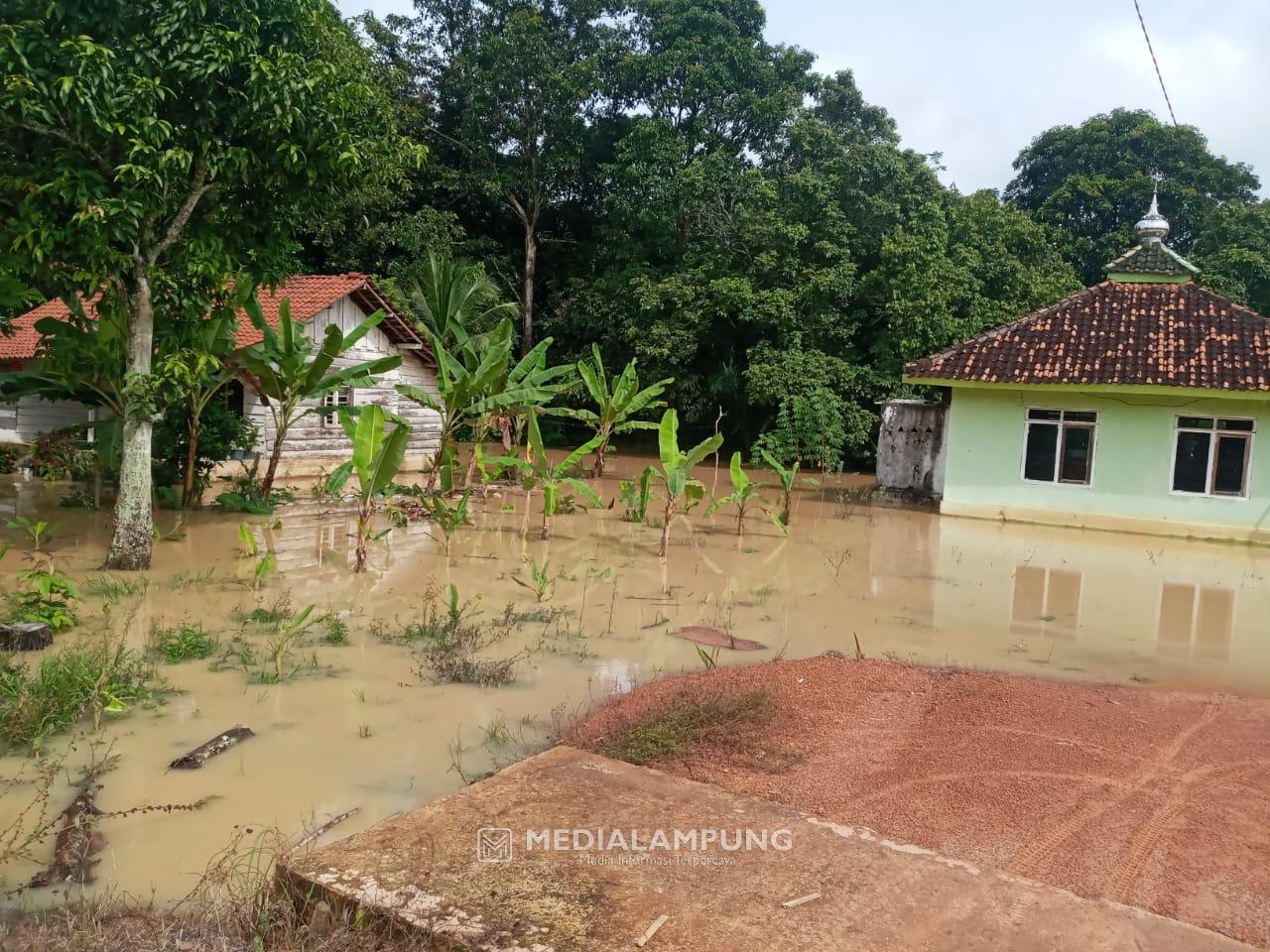 Puluhan Hektar Sawah Terendam Banjir, Pendangkalan Sungai Diduga Jadi Biang Keladinya