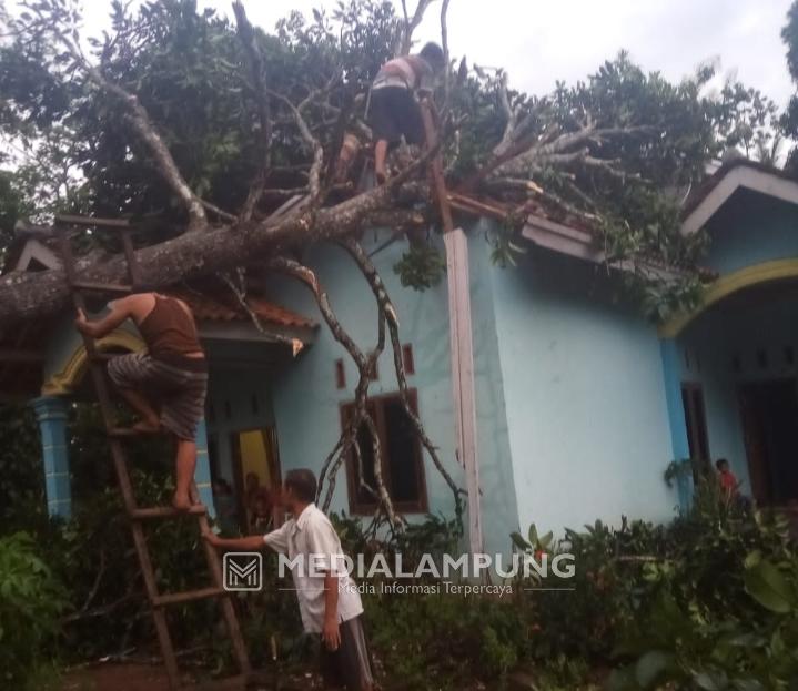 BPBD dan TNI-POLRI Bantu Bersihkan Pohon Tumbang yang Menimpa Rumah Warga