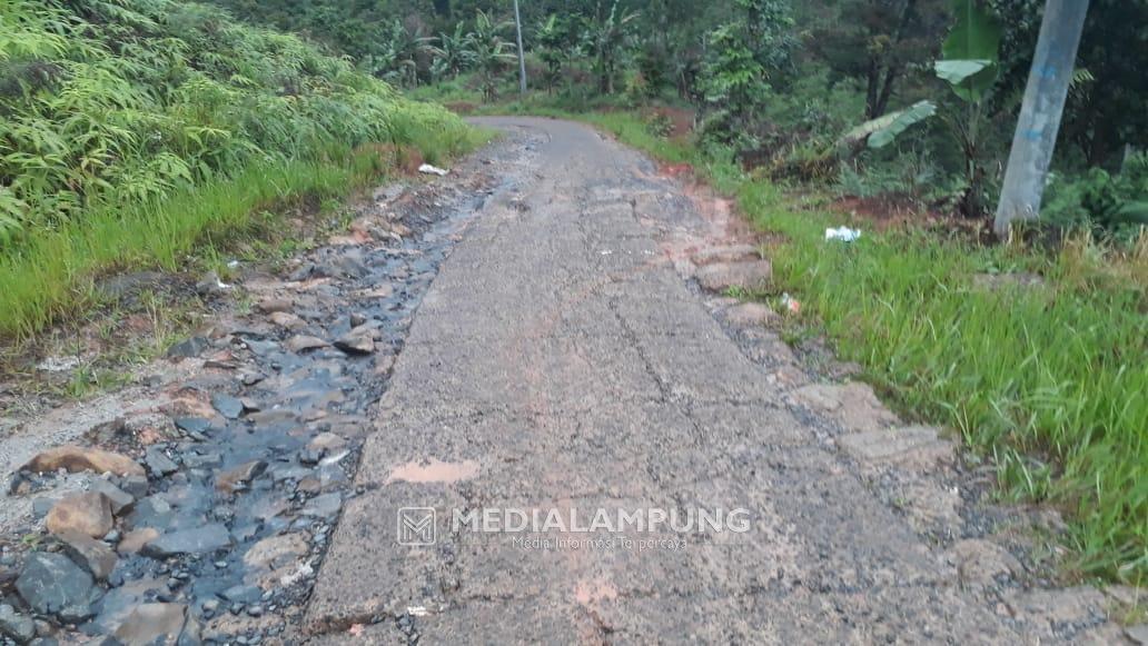 Banyak Menelan Korban, Warga Minta Jalan Penghubung Kecamatan Pagardewa-Sekincau Diperbaiki 