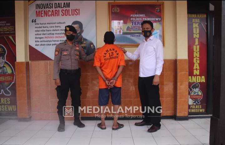 Tangkap Pelaku Pembalakan Liar di Hutan Register 22, Polisi Amankan 37 Potong Kayu Sonokeling