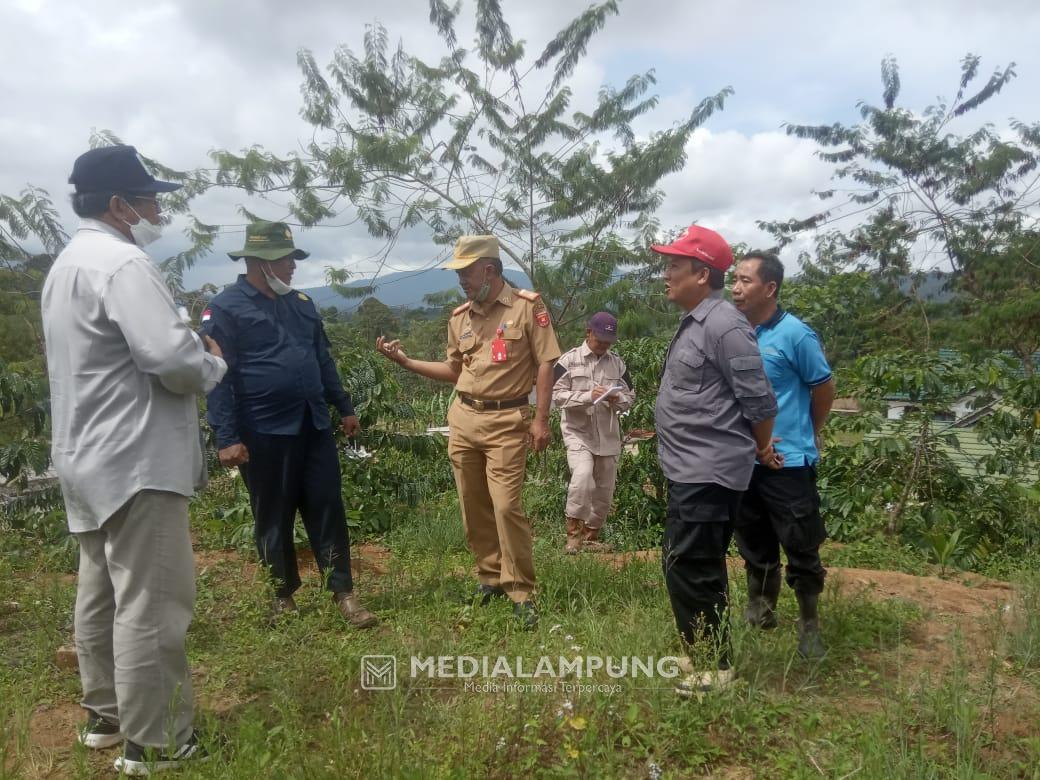 Tanggulangi Turunnya Produktivitas Kopi Lambar, Sudin Turunkan Tim Ahli