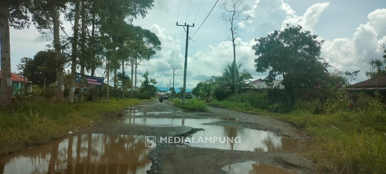 Simpang Sebelat-Sukarame Disiram Rp10 Miliar Lebih