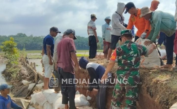 Jembatan Rusak di Pekon Waya Krui Mulai Diperbaiki