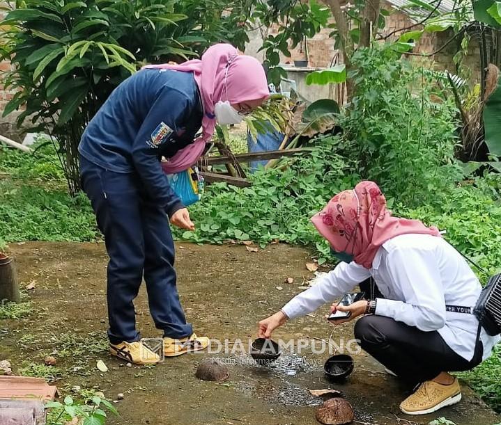 Waspada DBD, Masyarakat Diminta Menjaga Kebersihan Lingkungan