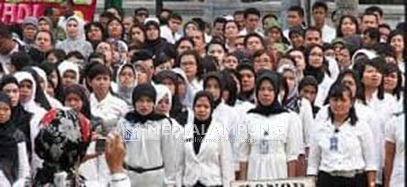 Pemkot Bandarlampung Tidak Merekrut Tenaga Honorer Lagi