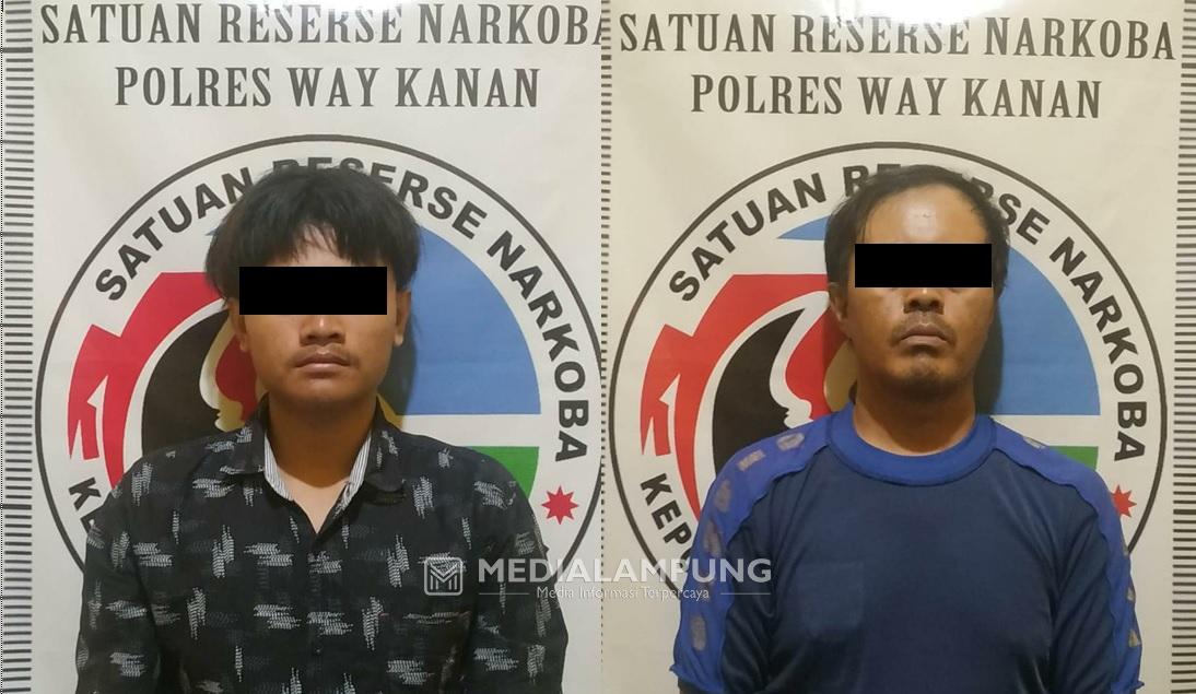 Satresnarkoba Polres Waykanan Amankan Pengedar Sabu