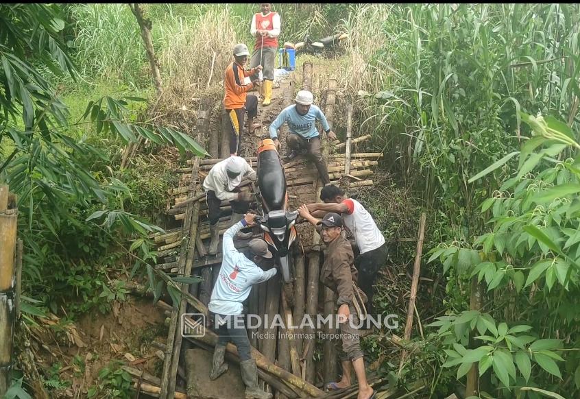 Dilintasi Kendaraan Bermuatan Pupuk, Jembatan Bambu di Pekon Giham Ambruk