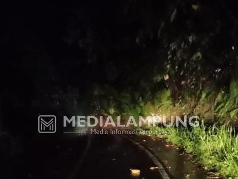 Tebing Tiga Meter Longsor, Tutup Badan Jalan Liwa-Krui
