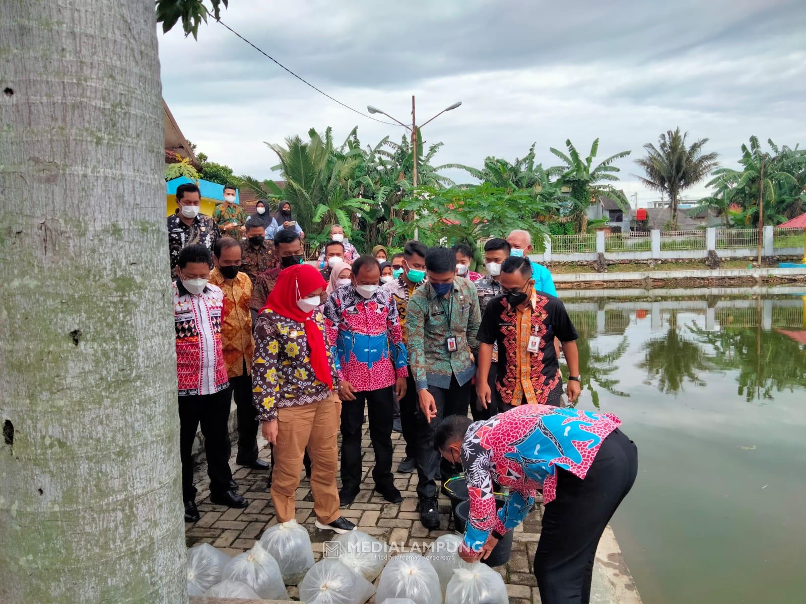 Babinsa Koramil Panjang Monitoring Giat Tabur Benih Ikan oleh Walikota Bandarlampung