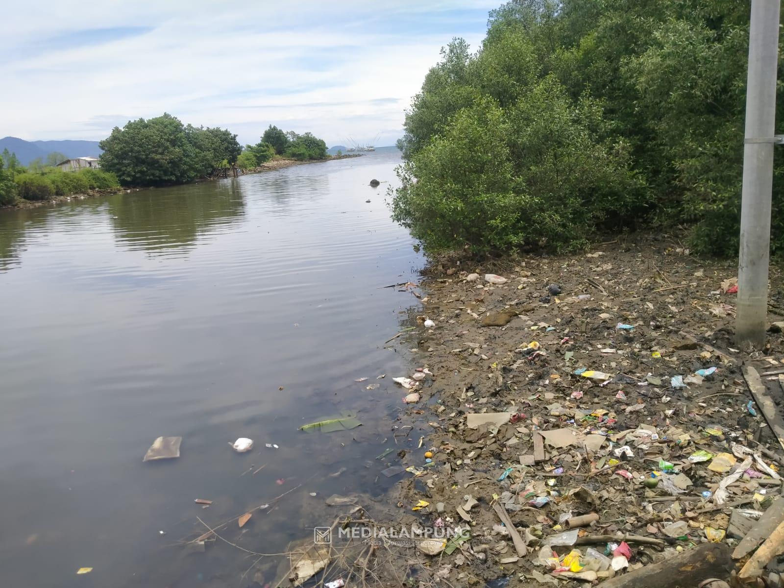 Sampah Berserakan, DLH Lampung Lakukan Langkah Pembersihan dan Jadikan Sampah Bernilai Jual