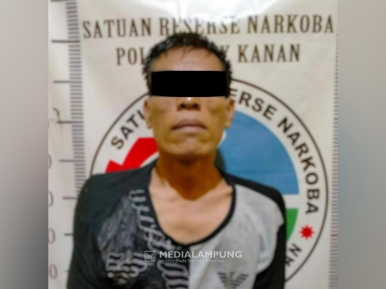 Polres Waykanan Bekuk Pengedar Narkoba Asal OKU Timur