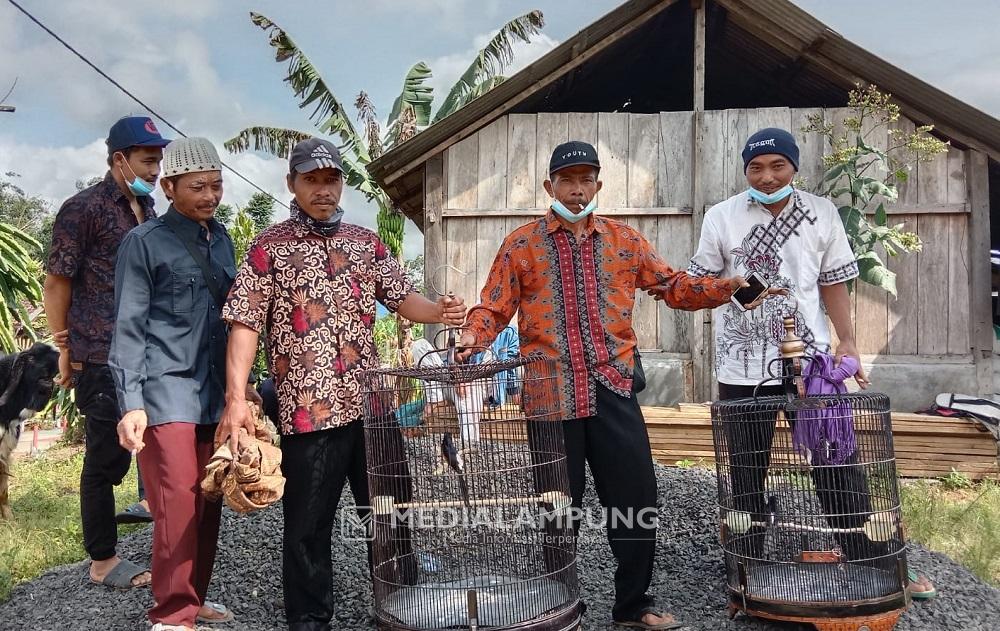 Dari Hobi Pelihara Burung, Sarbi Raup Cuan Hingga Jutaan