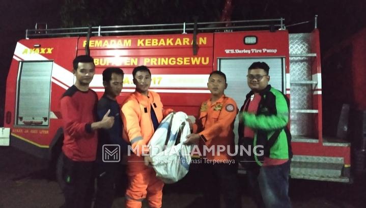 Satgas PB Damkar Pringsewu Evakuasi Sarang Tawon Vespa Berukuran Besar