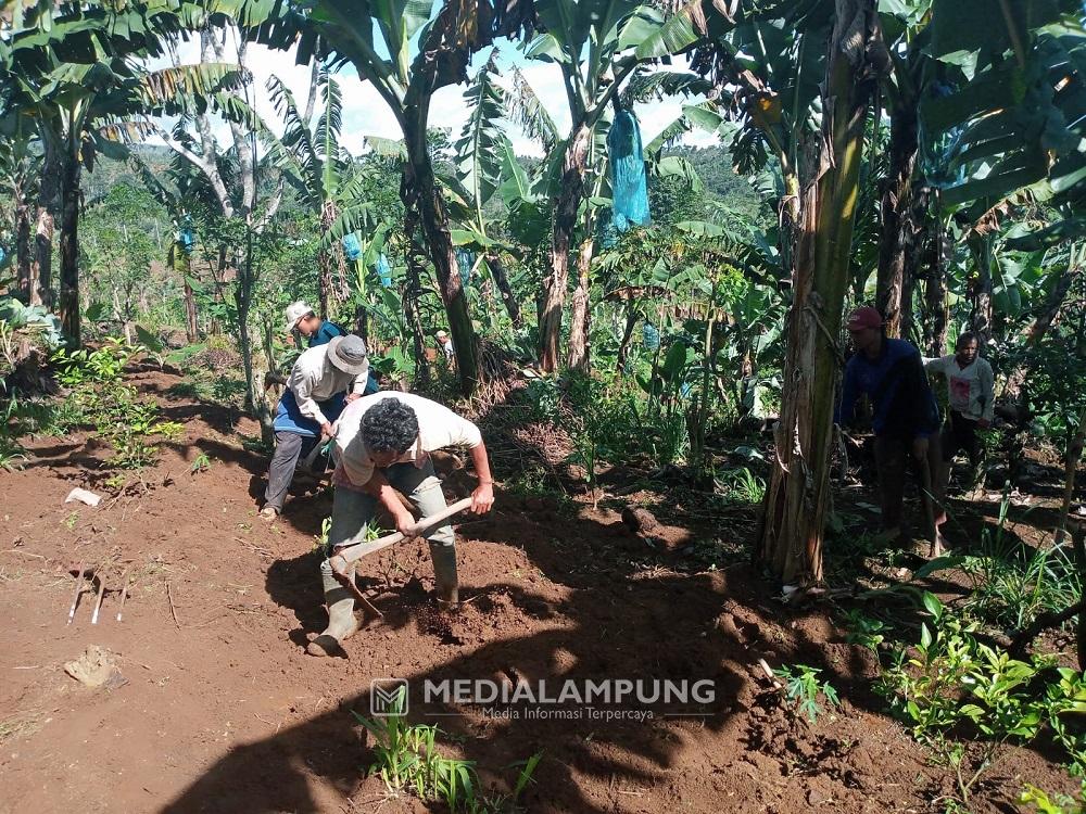 Galang Dana Beli Alat Olahraga, Sumarno dan Karang Taruna Upahan Ngoret