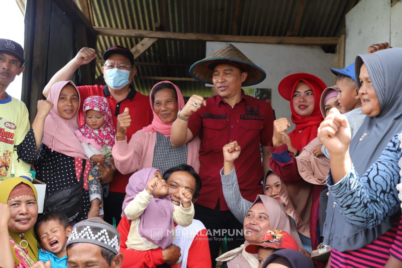 Panen Tomat di Tambakjaya, Parosil dan Sudin Serap Aspirasi Petani 