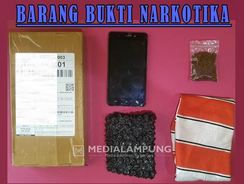 Kasus Tembakau Sintetis, Polres Waykanan Amankan Satu Tersangka
