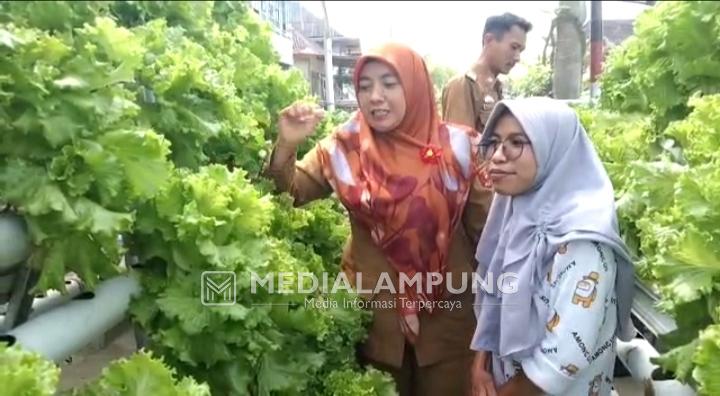 Camat Kebuntebu Tunjukkan Perhatian Kepada Penyandang Disabilitas  