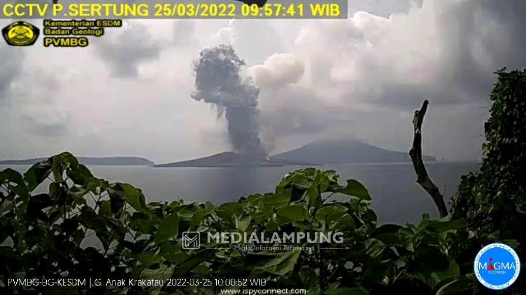 Hari Ini, Anak Krakatau 4 Kali Erupsi