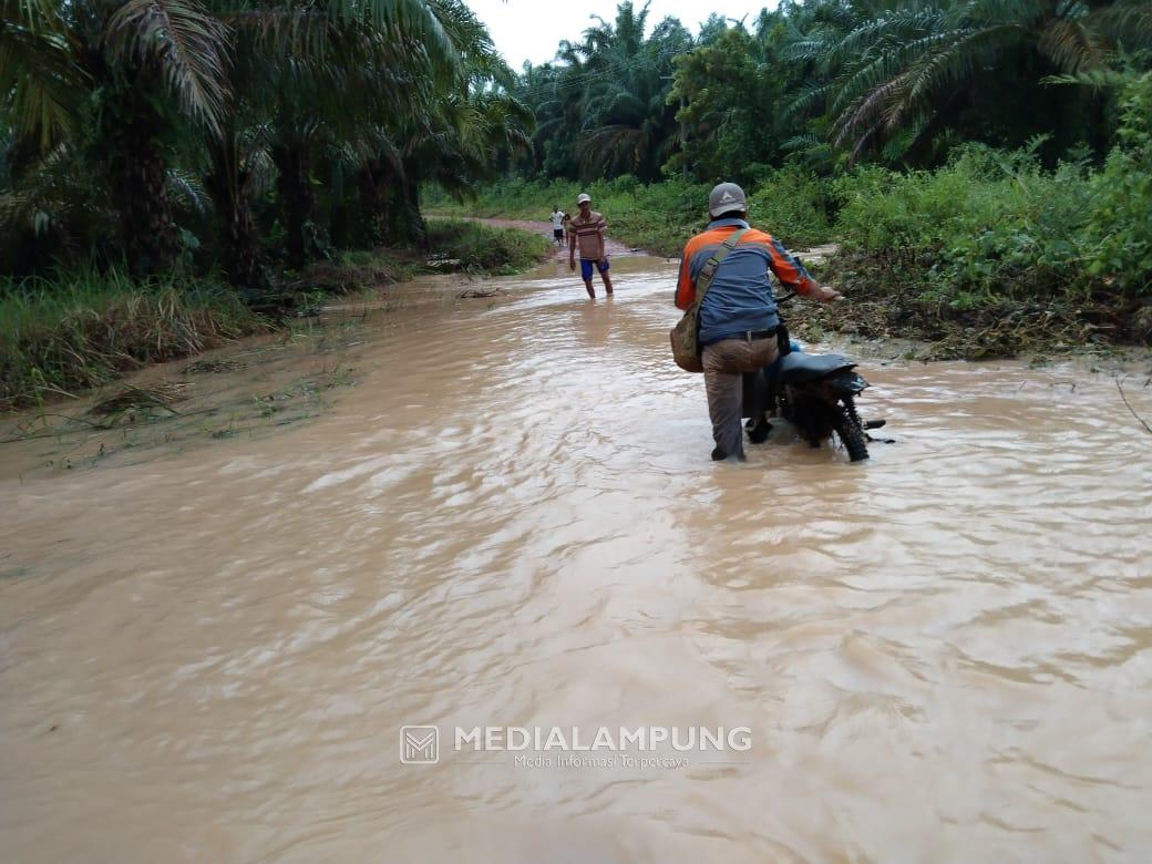 Diguyur Hujan Semalaman, Jalan Penghubung Kampung Tanjung Ratu Berubah jadi Sungai