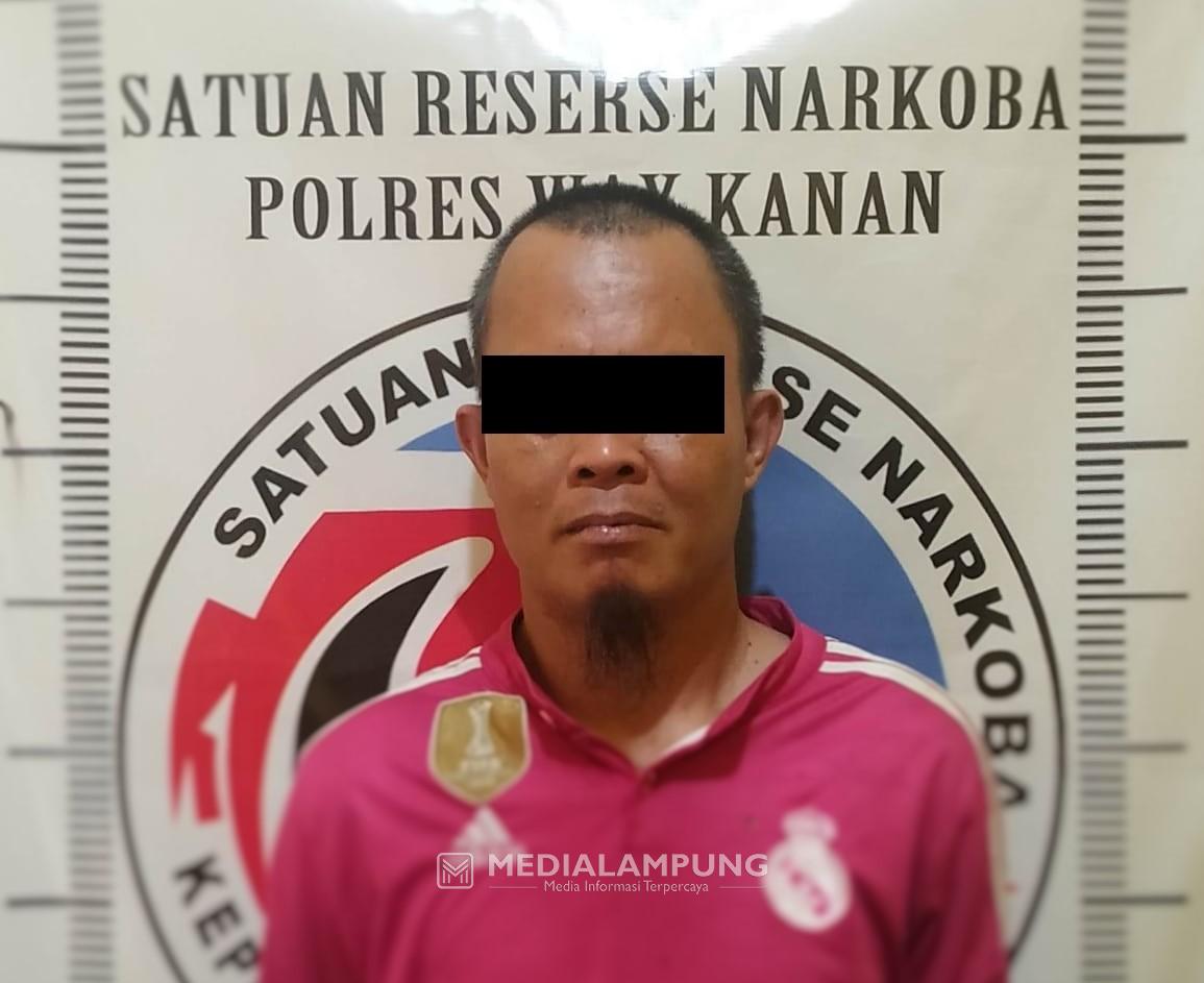 Polres Waykanan Tangkap Pengedar Sabu di Way Tuba