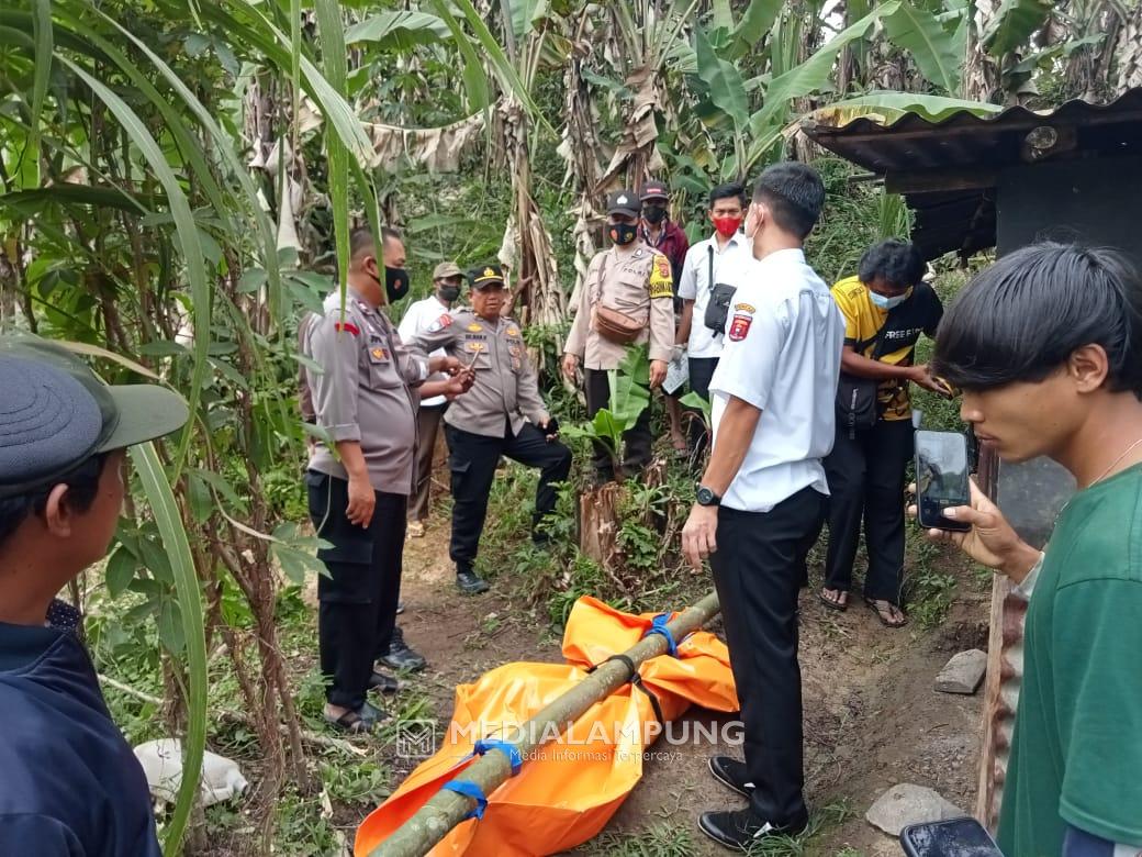 Kakek Renta Ditemukan Meninggal di Gubuk Sawah